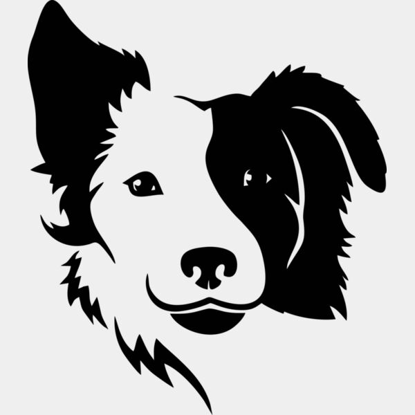 Hund australian shepherd Miniaturansicht