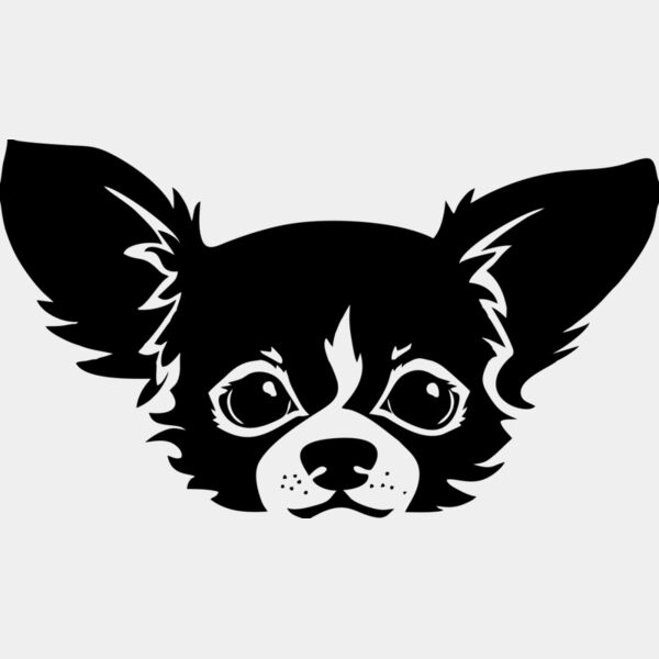 Hund chihuahua Miniaturansicht