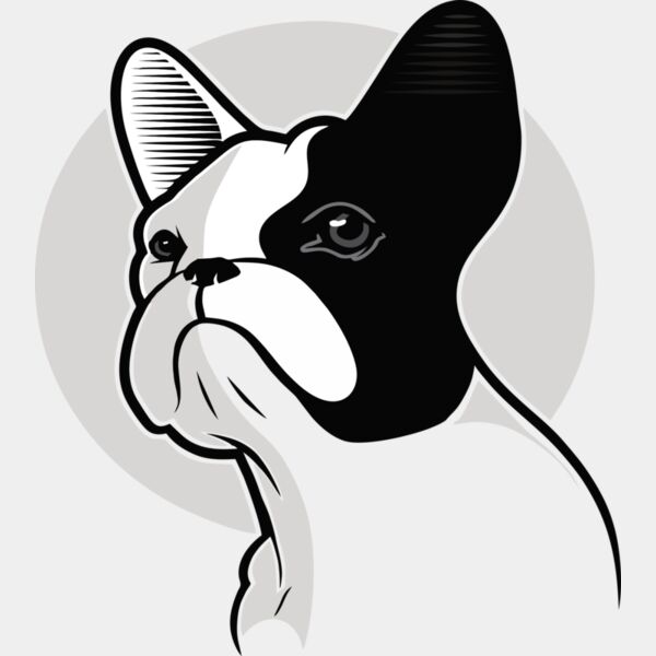 Hund Französische Bulldogge Miniaturansicht
