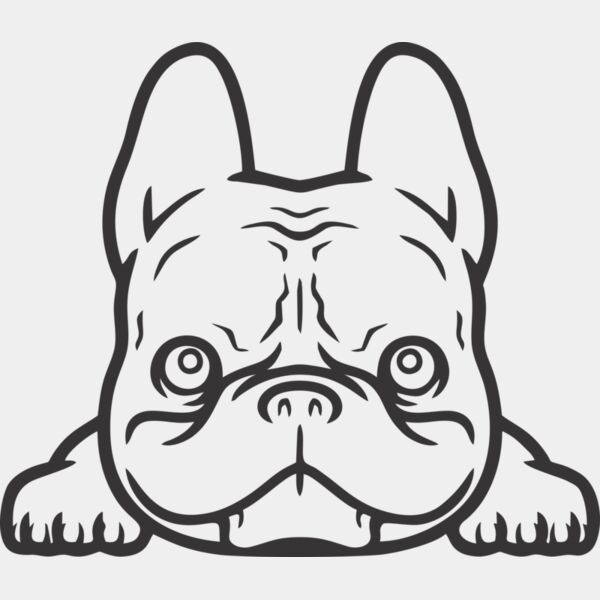 Hund Französische Bulldogge Miniaturansicht